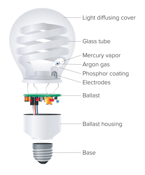 Regency Lighting – What are CFL bulbs and where should they be used? Diagram of CFL bulb