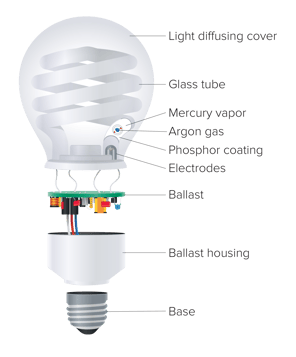 Regency Lighting – What are CFL bulbs and where should they be used? Regency Lighting – What are CFL bulbs and where should they be used? Diagram of CFL bulb