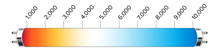 CCT Color Temperature